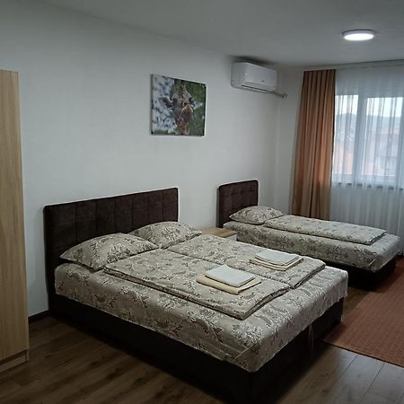 Apartmani Centar Сйеница Екстериор снимка